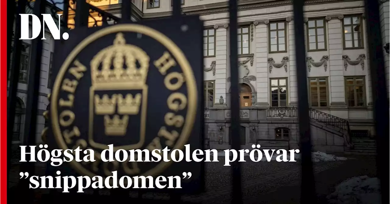 Högsta domstolen prövar ”snippadomen”