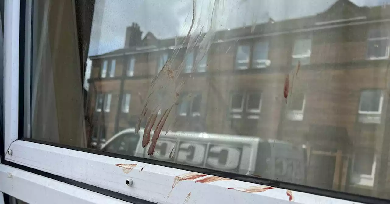 Bloodbath on Scots street as locals report 'screams' before man found dead