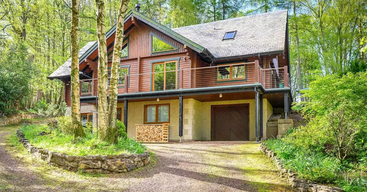 Inside the 'magical' woodland Scottish home full of character and charm