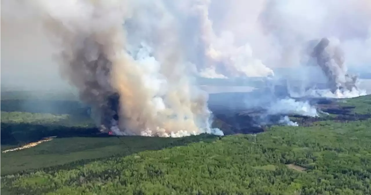 2 weeks and a heat dome later: Where does Alberta wildfire situation stand? | Globalnews.ca