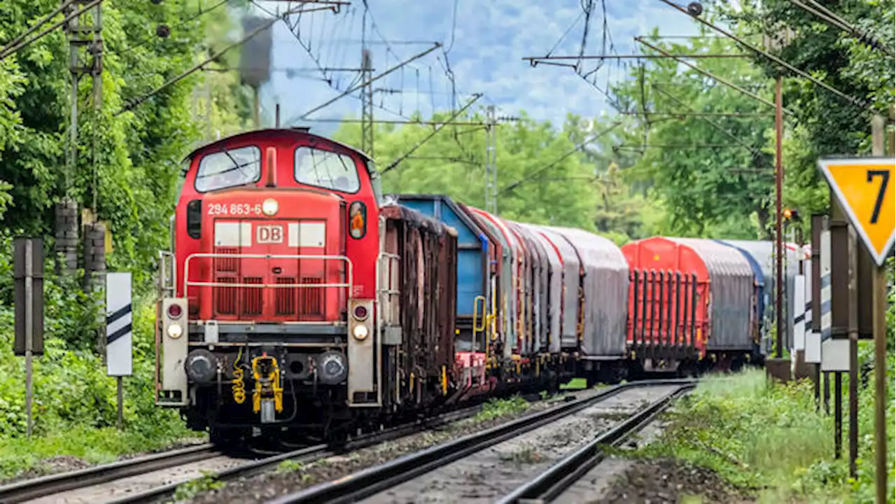 Prognose: Güterbahn-Unternehmen rebellieren gegen Verkehrsminister Wissing