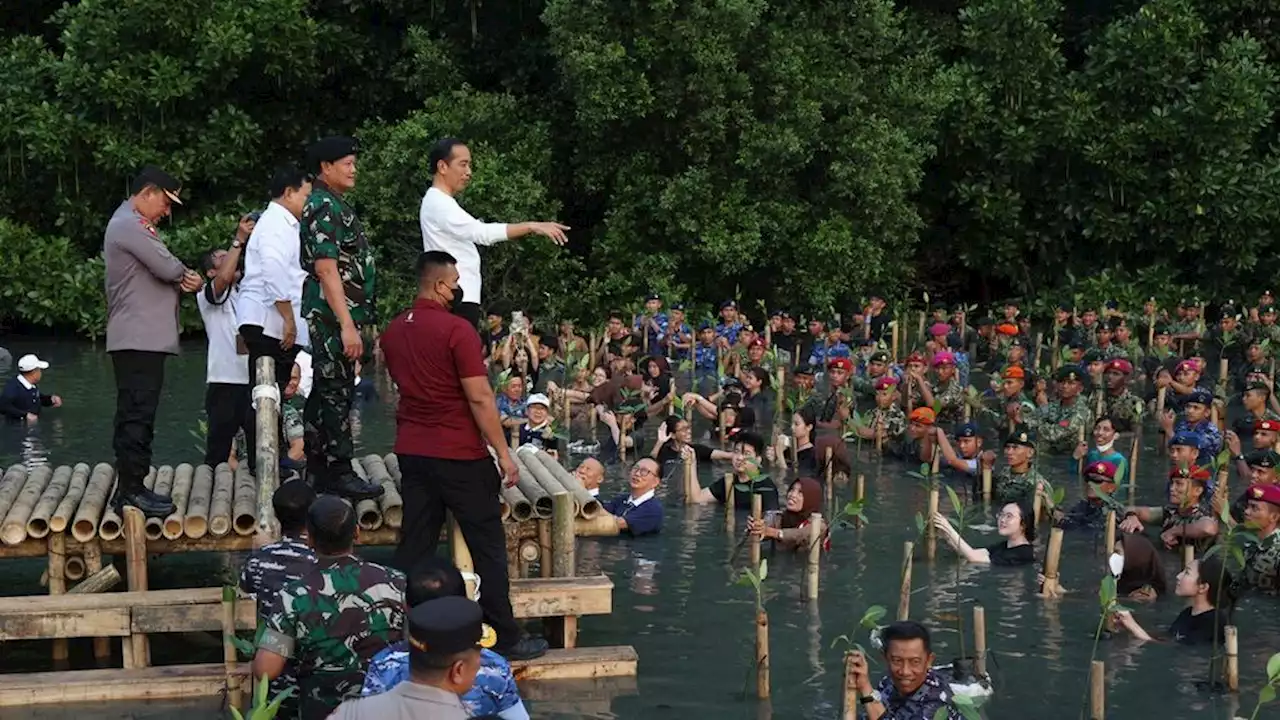 Presiden: Medan di Papua Sulit, KKB Menguasai Kondisi Lapangan