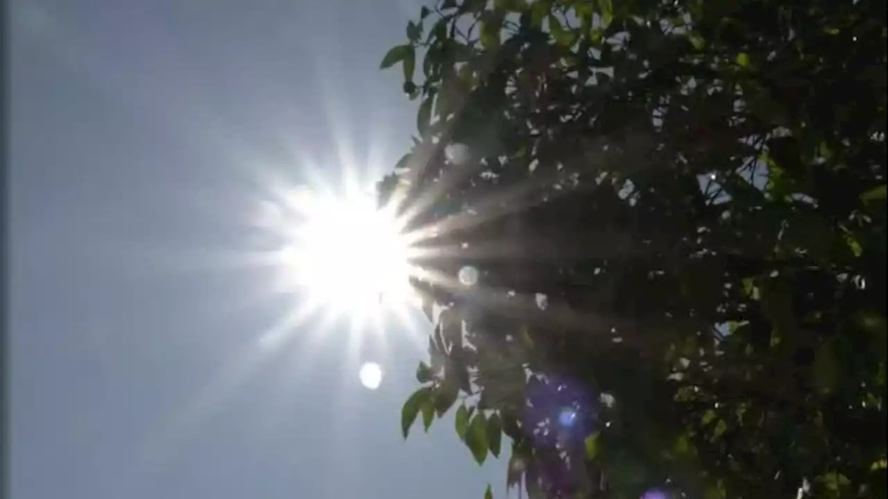 Sanidad activa hoy el Plan de Acciones Preventivas contra Efectos del Exceso de Temperaturas