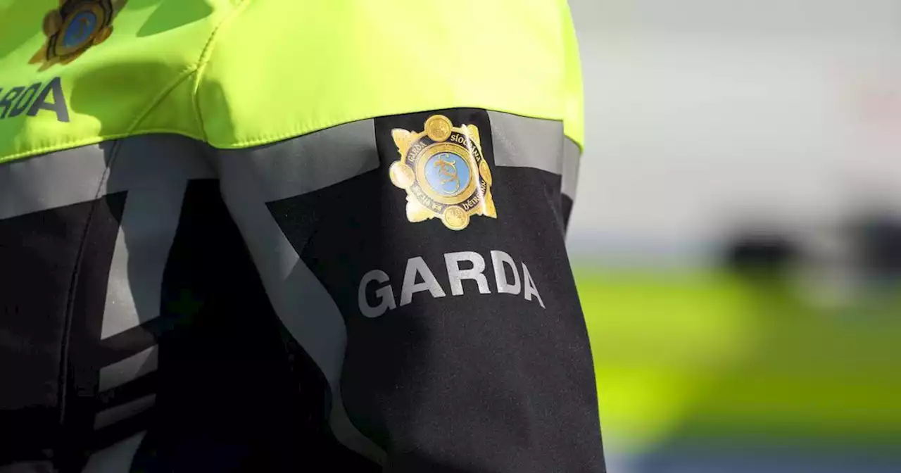 Garda definition of hate crime already more expansive than new legislation