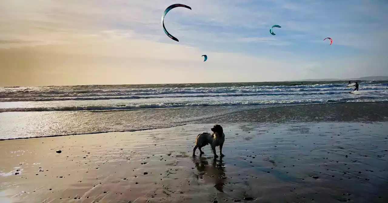 Oh, I do like to be beside the seaside! 10 great Irish beaches with lovely places to stay