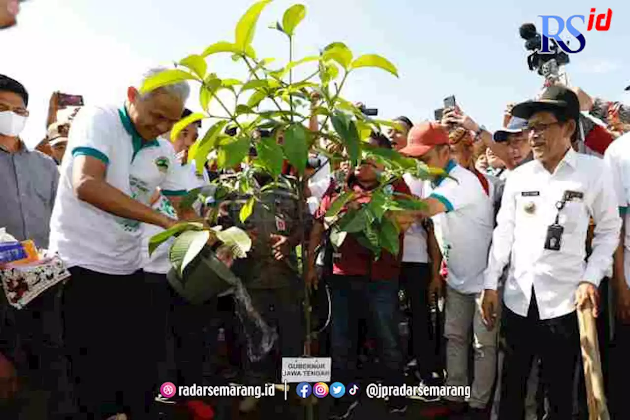 Pemerintah Tak Boleh Baper Soal Laporan Jalan Rusak