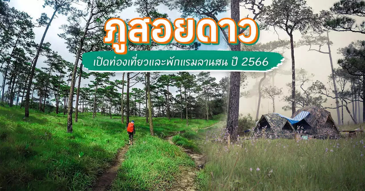 อุทยานแห่งชาติภูสอยดาว เปิดให้ท่องเที่ยวและพักแรมลานสน ปี 2566