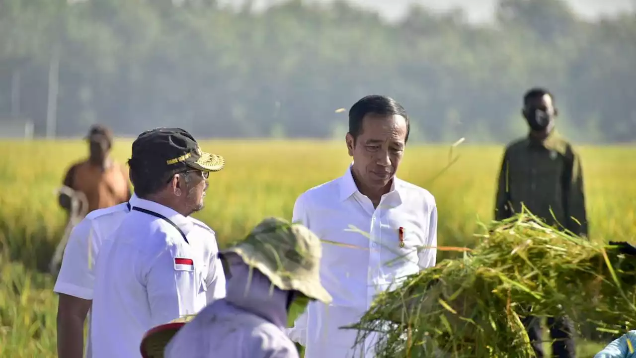 Jokowi: Bagaimana Saya Putuskan Kebijakan, Kalau Data Tak Akurat dan Terkini