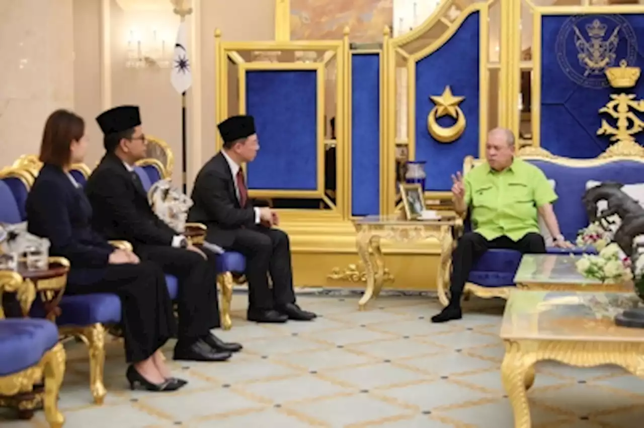 Johor’s Sultan Ibrahim expresses dismay at poor condition of low-cost flats in state