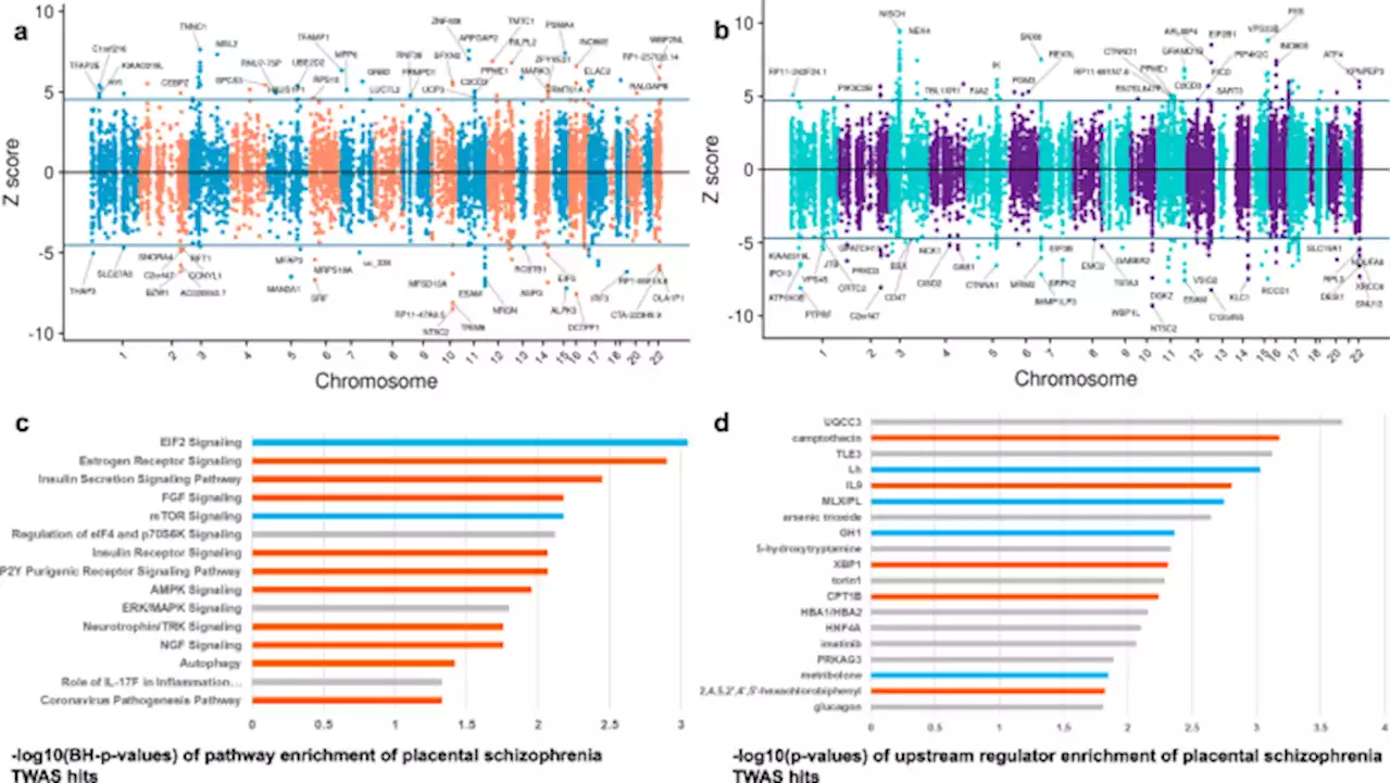 Prioritization of potential causative genes for schizophrenia in placenta - Nature Communications