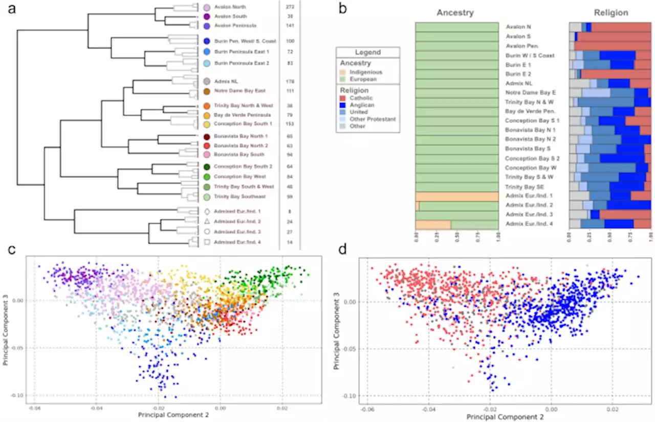 The Newfoundland and Labrador mosaic founder population descends from an Irish and British diaspora from 300 years ago - Communications Biology