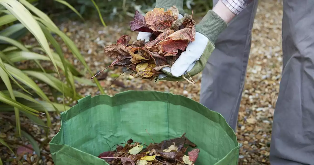 Concerns over recycling changes that could mean new bins in Greater Manchester