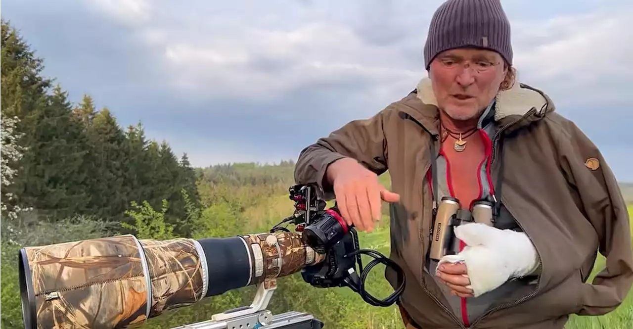 'Es war extrem schmerzhaft': Bär verletzte Tierfilmer schwer