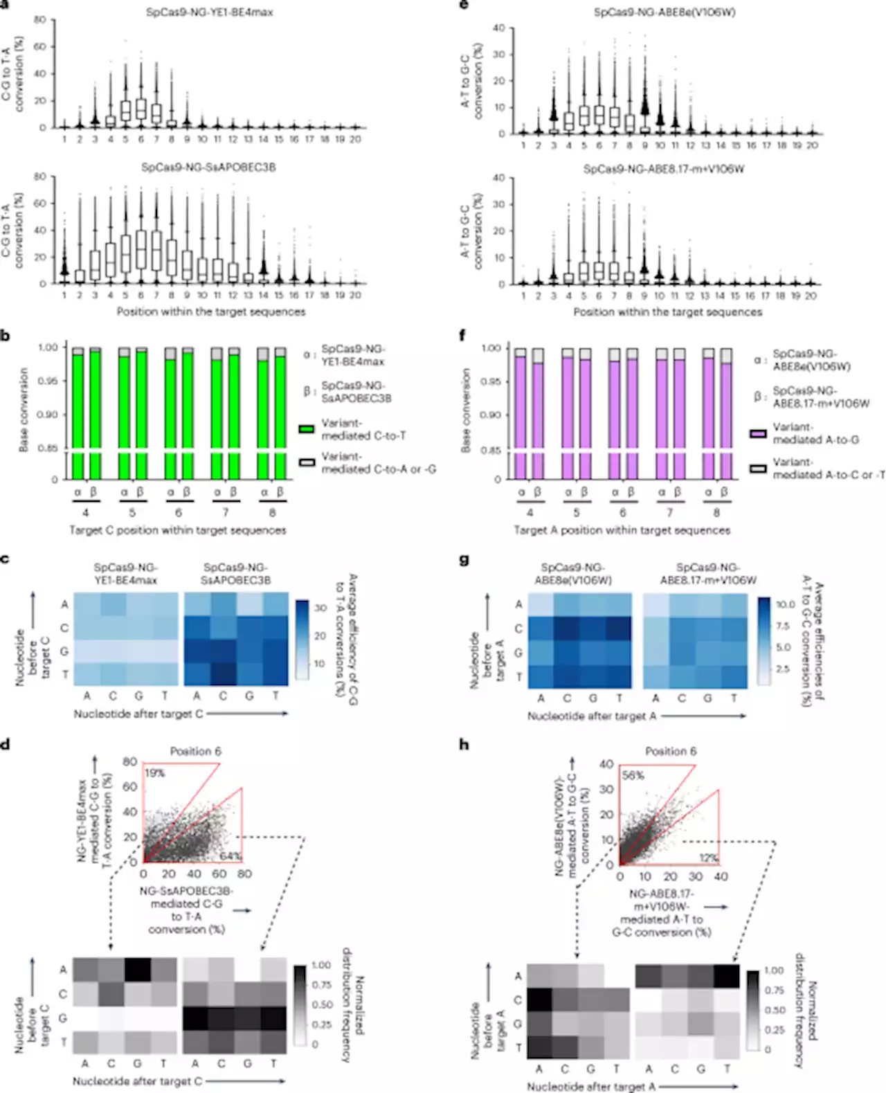 Deep learning models to predict the editing efficiencies and outcomes of diverse base editors - Nature Biotechnology