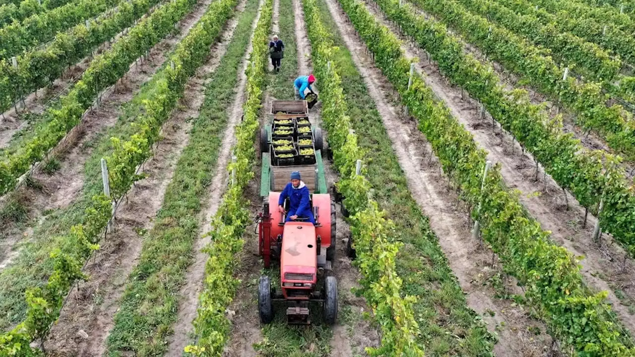 Beaufort West farmers head to court in battle to secure their land rights | News24