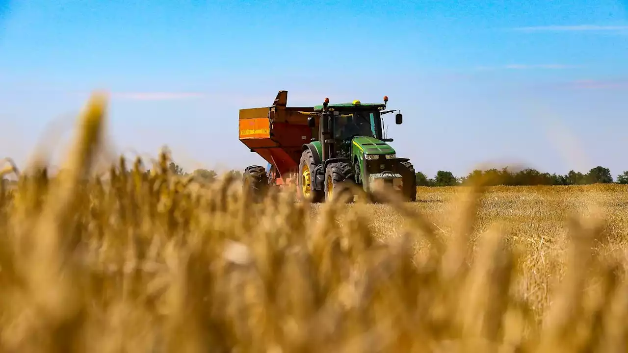 Brüssel sagt ukrainischer Wirtschaft Wachstum voraus