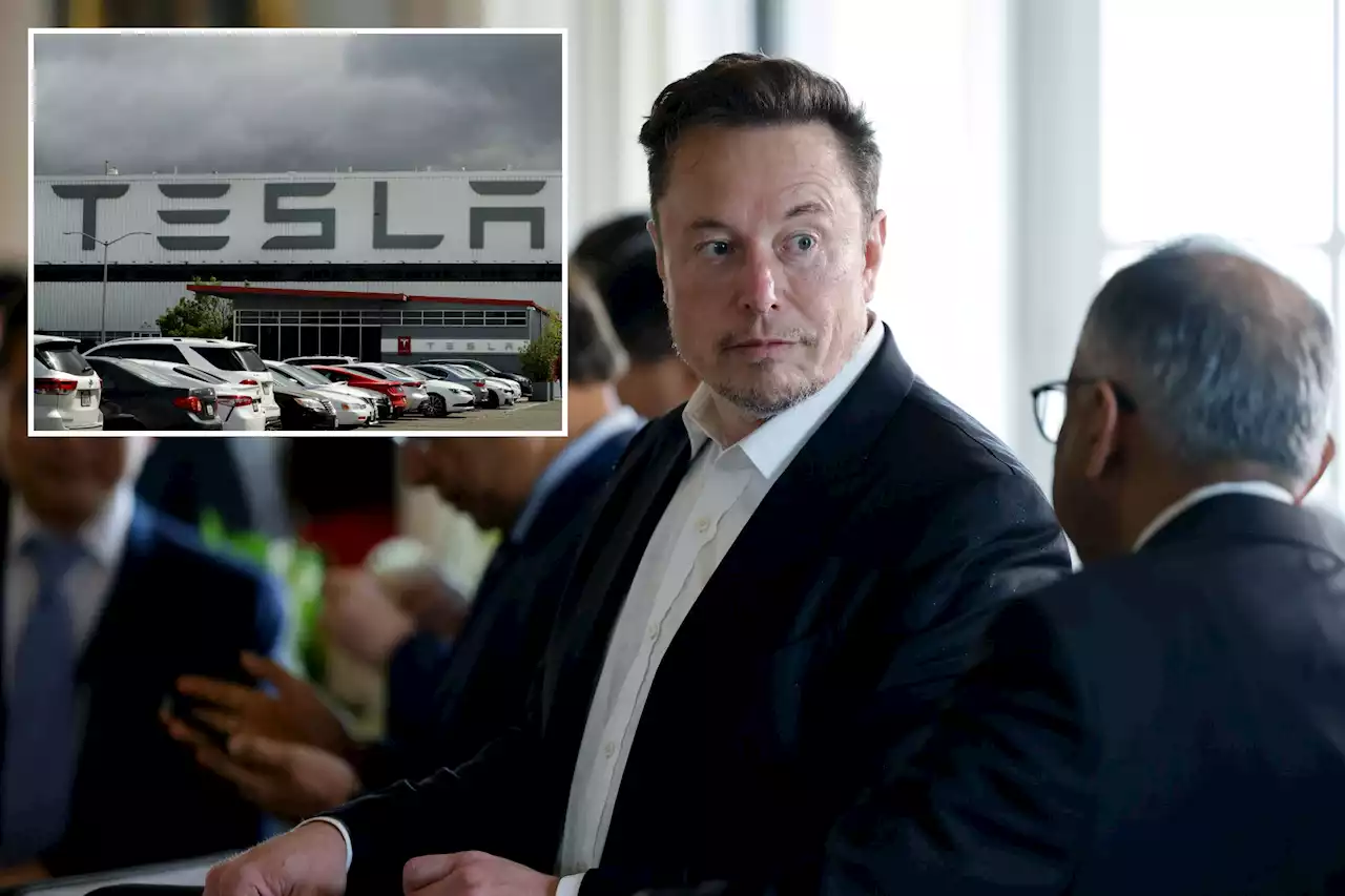 Elon Musk reportedly tells Tesla staff he must approve all hiring