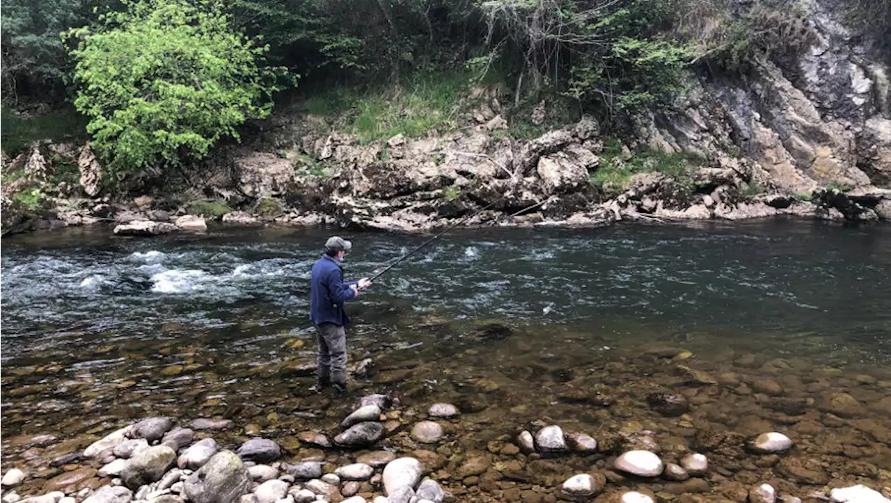 Cantabria reabre la pesca en sus ríos