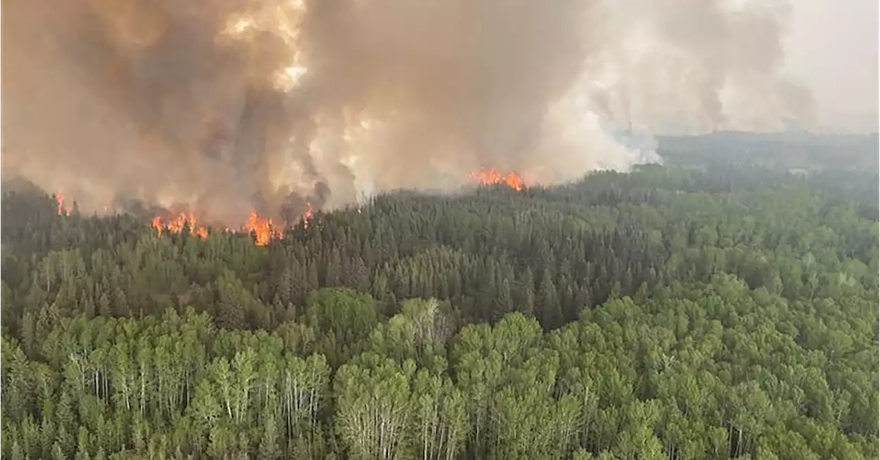 Canada PM Trudeau heads for Alberta as wildfires rage