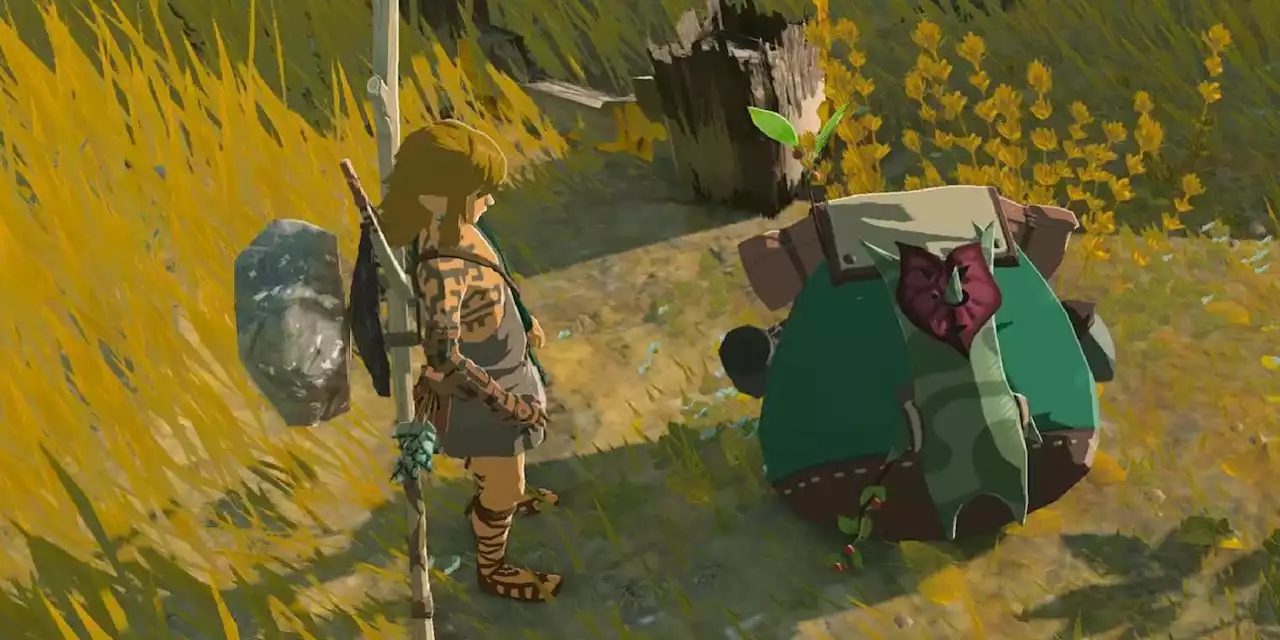 Tears of the Kingdom Players Are Doing Horrible Things To Koroks