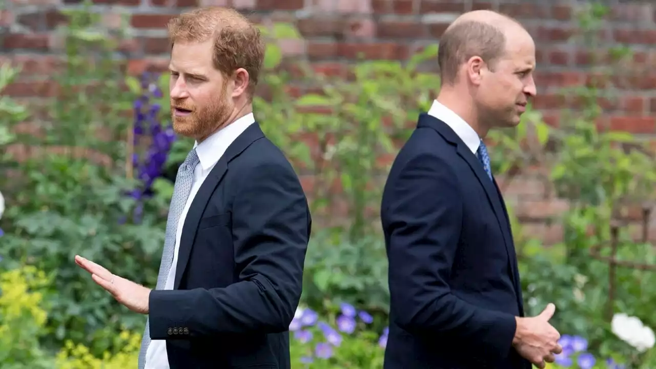 Palace staff &#8216;choreographed&#8217; coronation to ensure no run-ins between William and Harry