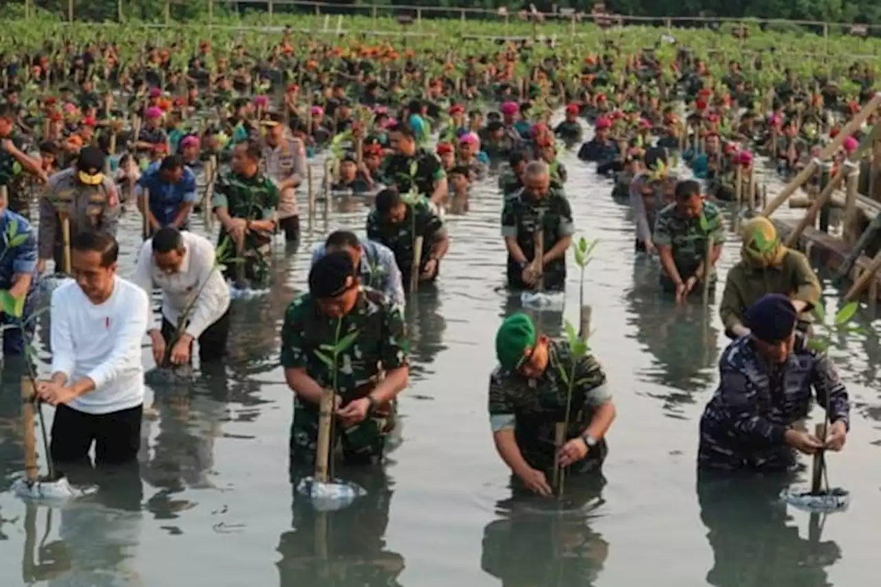 Bantah Hubungan Buruk, Jokowi Belum Respons Rencana Kunjungan Surya Paloh