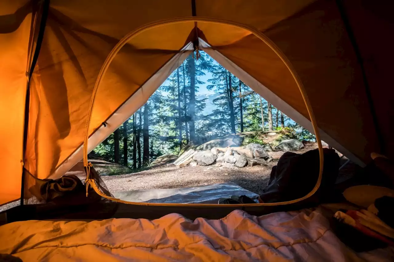 From timing to flexibility: how to secure your dream Ontario Parks campsite