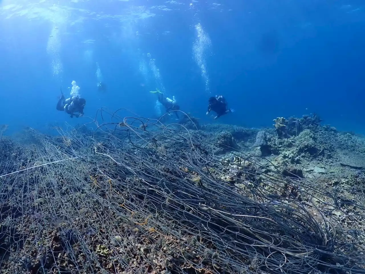 Divers remove 100kg of ghost nets stuck on coral reefs off Sabah's Mantanani Island