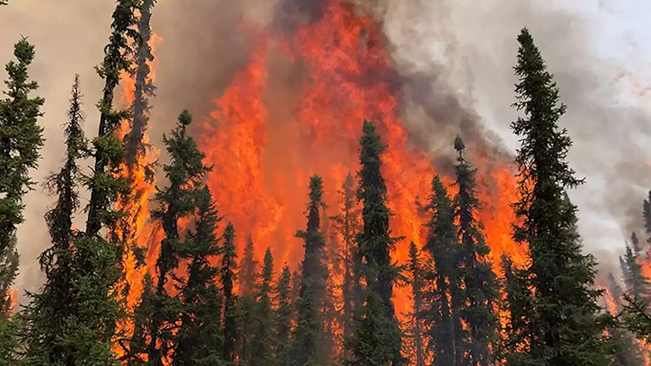 Air quality in parts of Northwestern Ontario impacted by Alberta fires