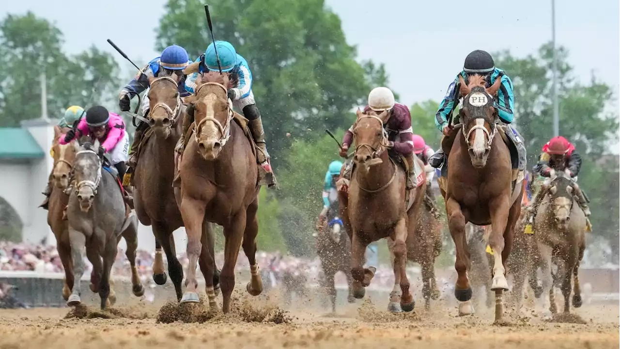 Crisis Brewing as Eighth Horse Dies at Churchill Downs