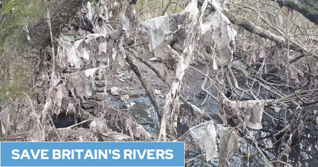 How the River Kent went from a haven for anglers to a flood of condoms, wet wipes - and no fish