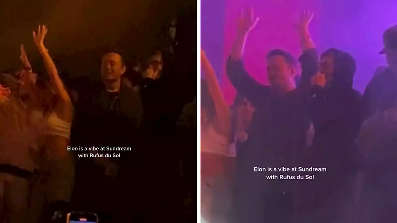 Elon Musk Dancing the Night Away at Cabo San Lucas Music Festival