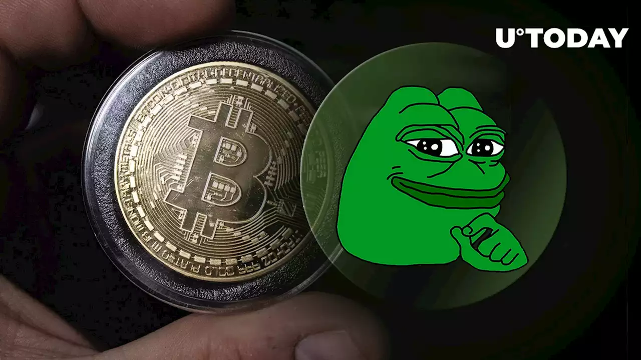 Pepe, New Meme Coin on the Block, May Signal Trouble for Bitcoin