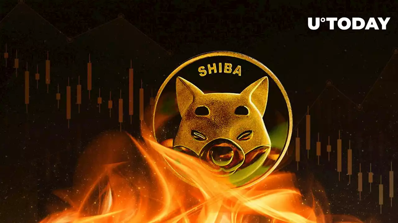 SHIB Army Sees Massive Drop in Burn Rates, Here's What's Happening to Price