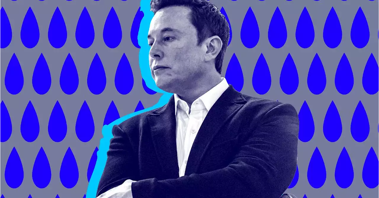 Elon Musk is stuck with his “Twitter sitter” after court rejects bid to toss SEC settlement