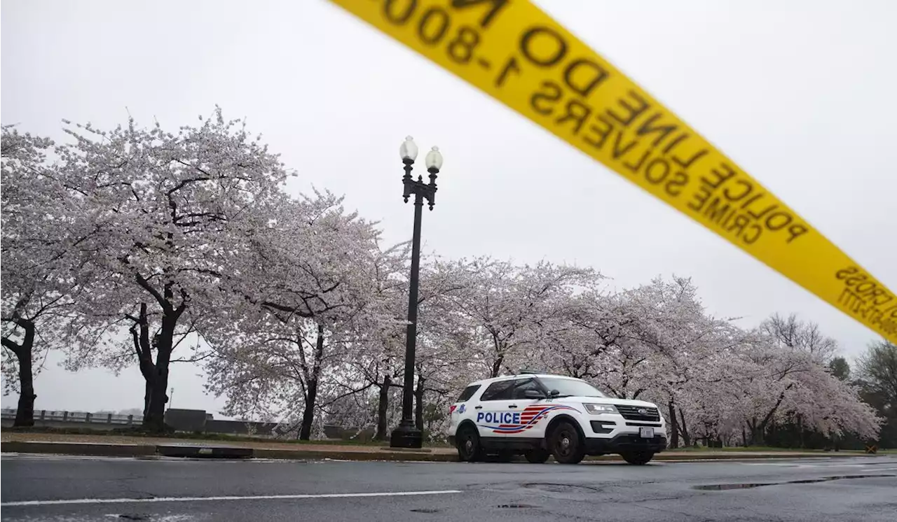 Mother’s Day madness: Two girls wounded by stray bullets in separate D.C. shootings