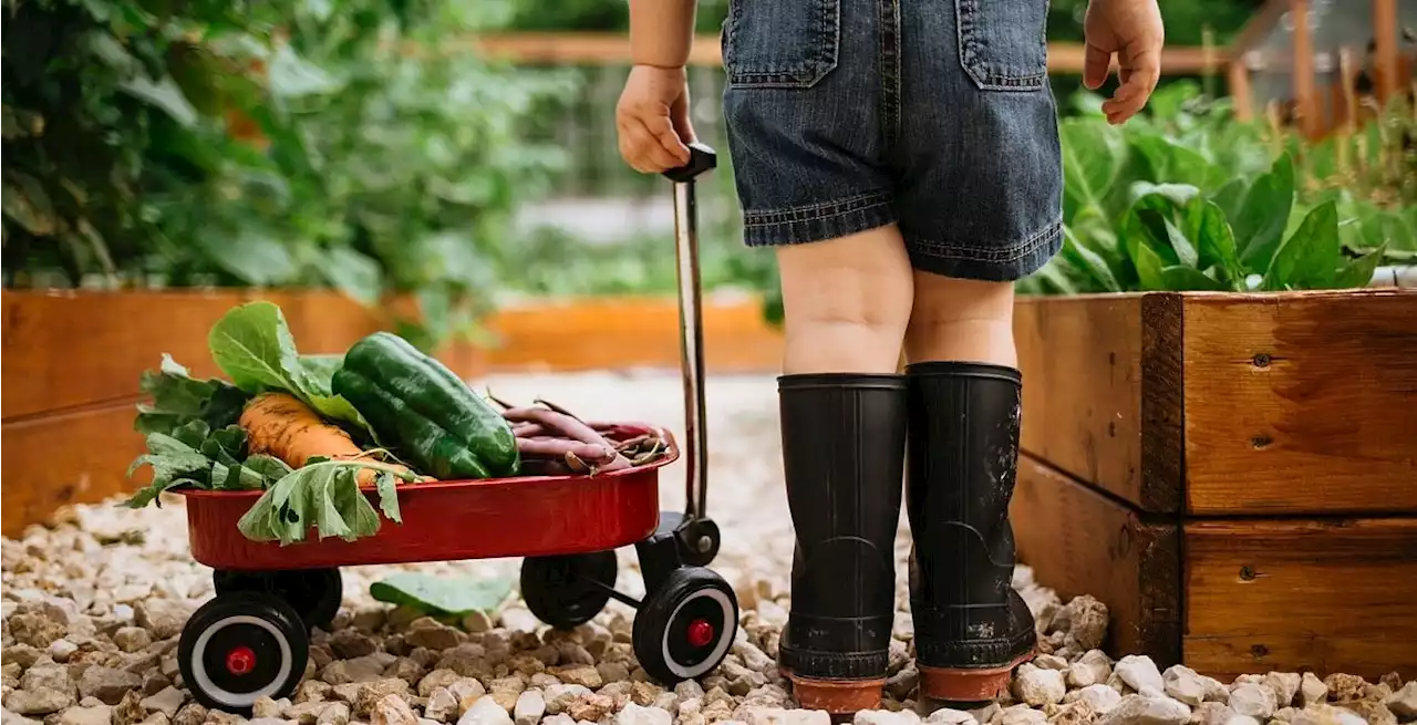 Heimwerker - Kein Geld fürs Garteln mehr?