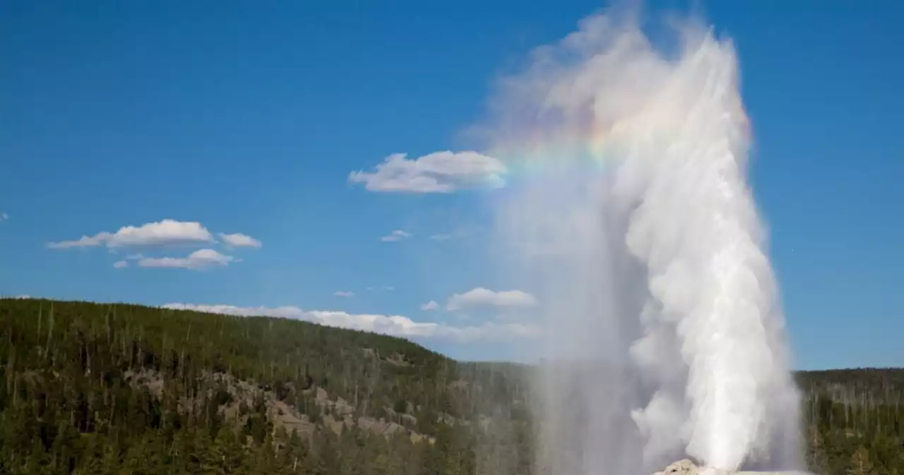 Woman found dead in car at Yellowstone National Park; man arrested