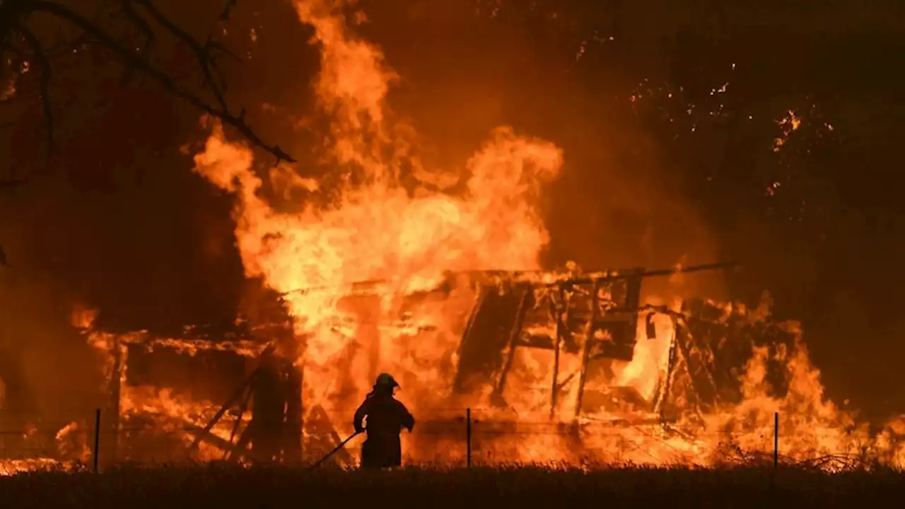 RFS commander defends decision to start Black Summer back-burn that led to destruction of 100 homes