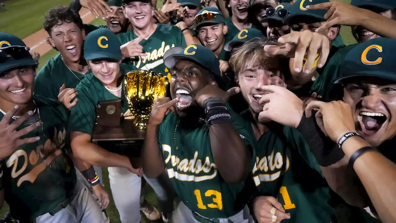 Lucas Casey pitches Canyon del Oro over Saguaro for 10th state baseball championship