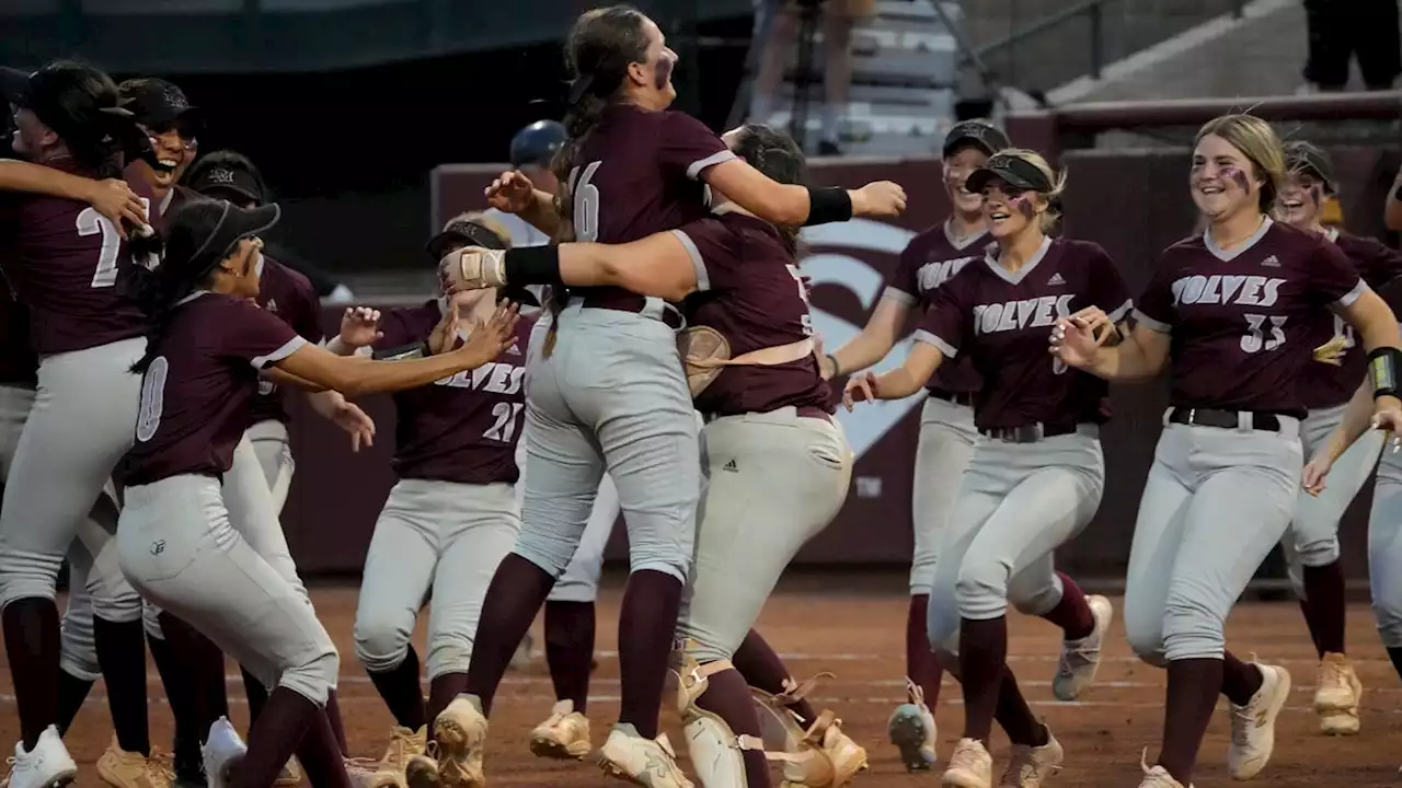 Softball: Desert Mountain captures first state title, prevails over Willow Canyon