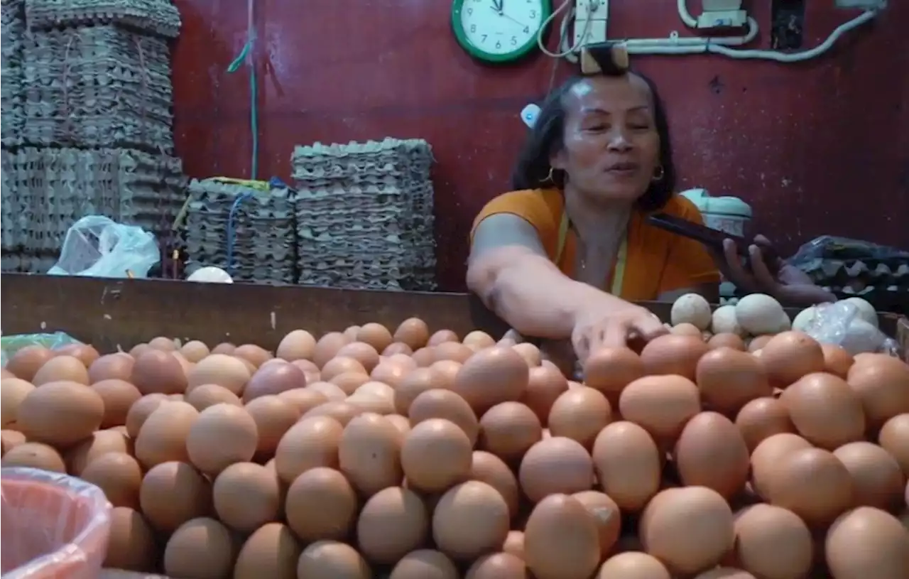 Harga Telur Ayam Melesat, Pedagang Mengeluh Sepi Pembeli