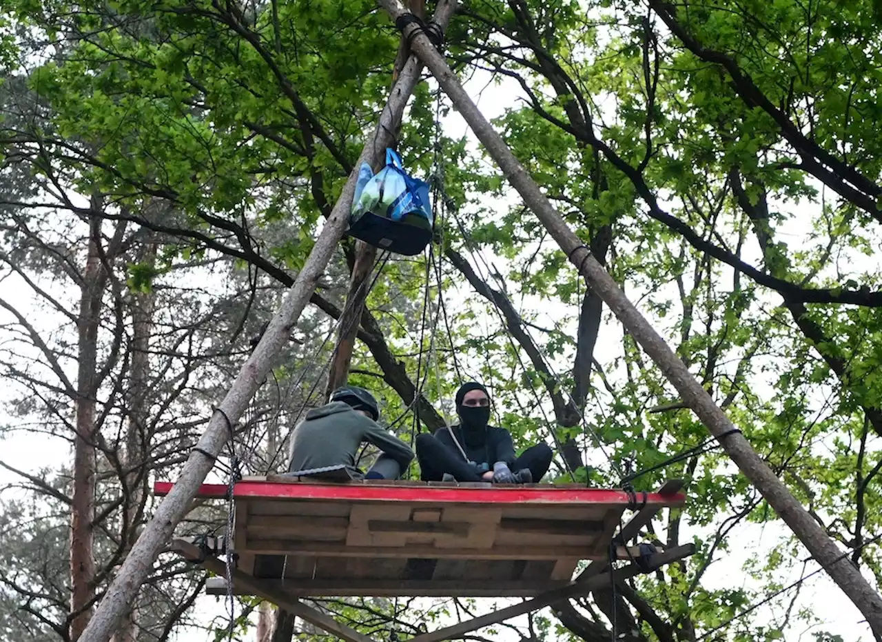 Baumbesetzung in der Wuhlheide: Aktivisten rechnen heute mit Räumung