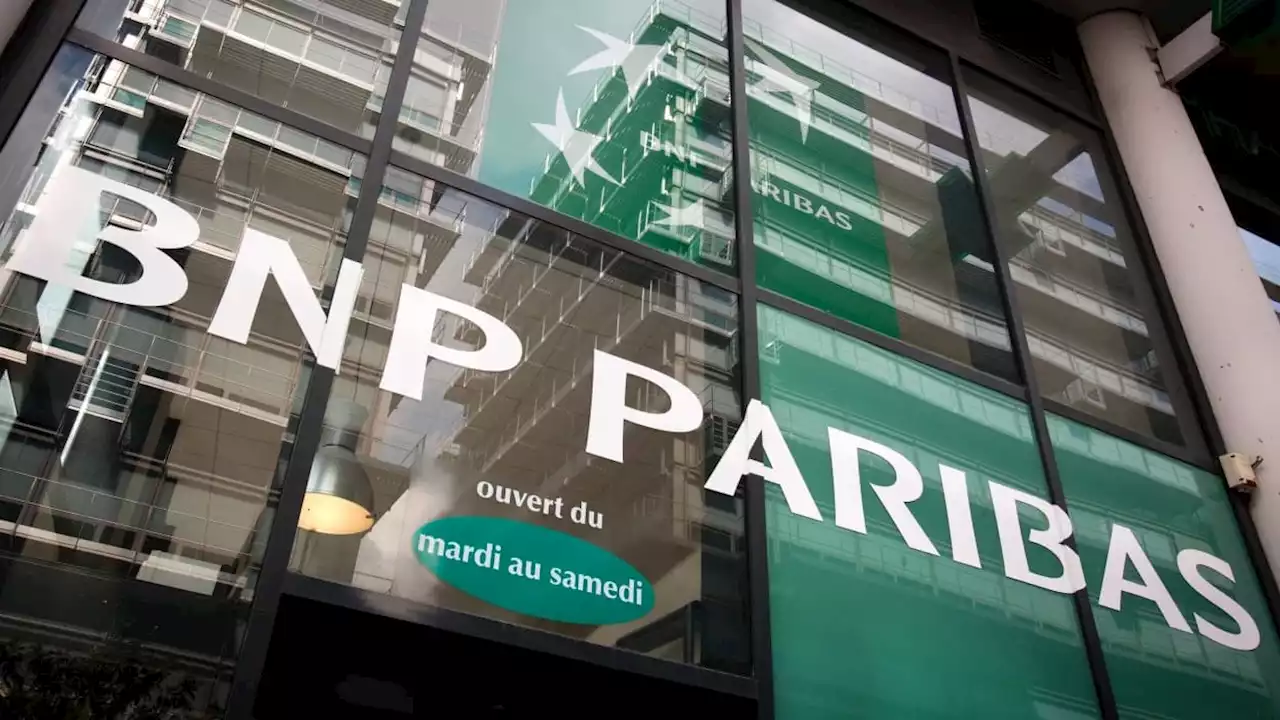 BNP Paribas: des ONG environnementales veulent faire entendre leur voix à l'assemblée générale