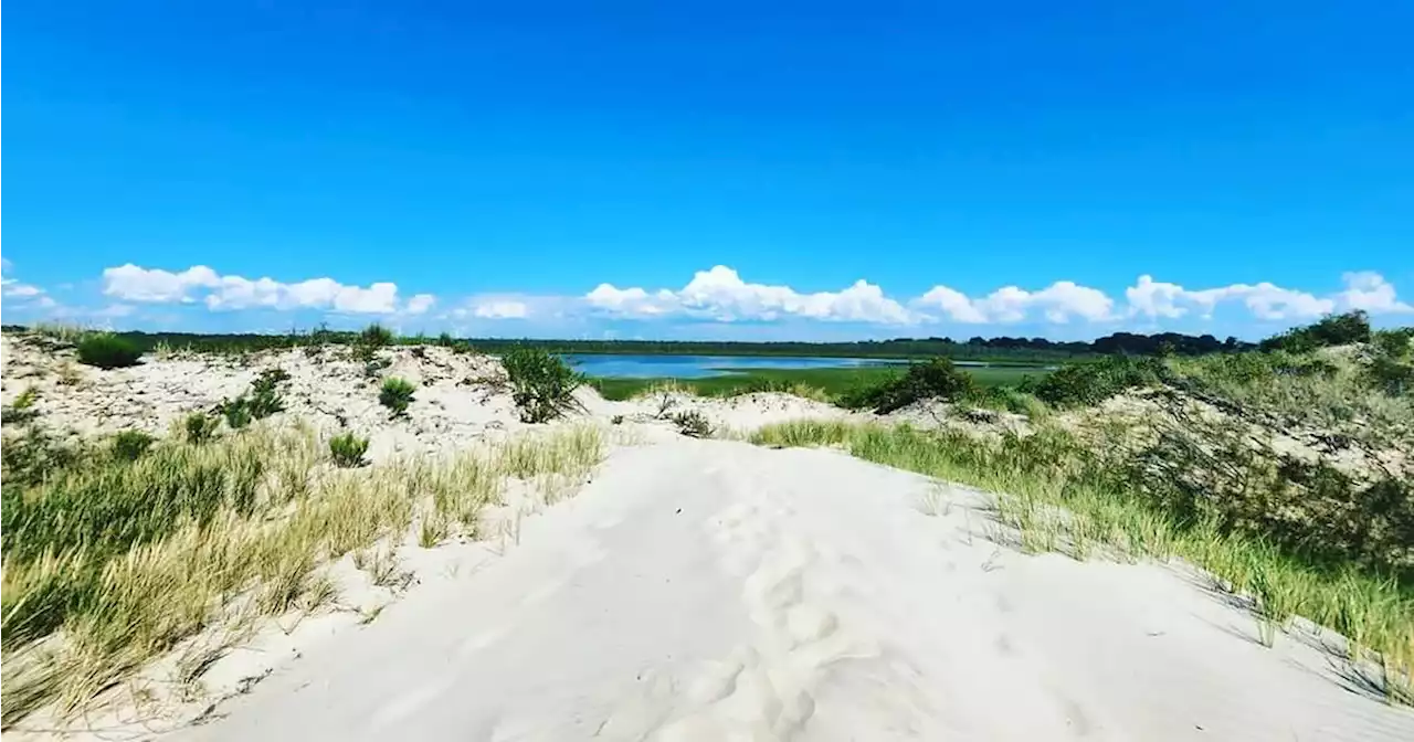 This island in Ontario is a hidden gem with a secluded beach