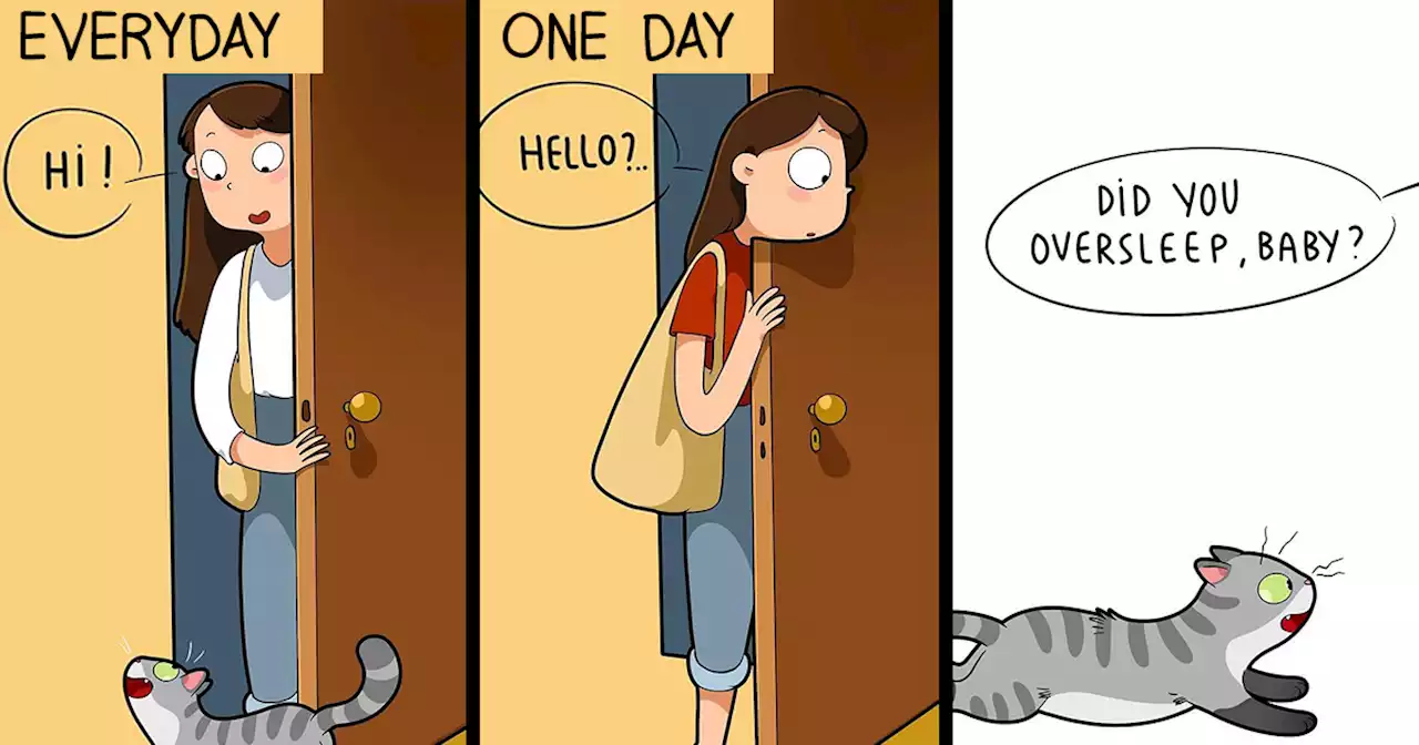 The Daily Realities Of Living With A Cat, Perfectly Captured By This Artist (40 New Pics)