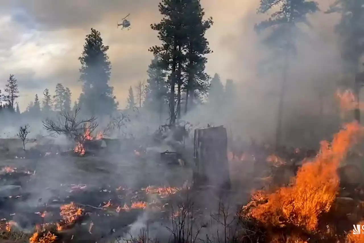 How a B.C. airport and First Nation are fighting fire with fire