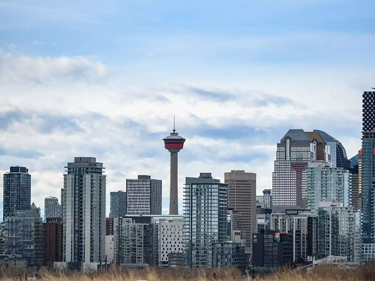 Affordable housing, safety, transit among key election issues for Calgarians: survey