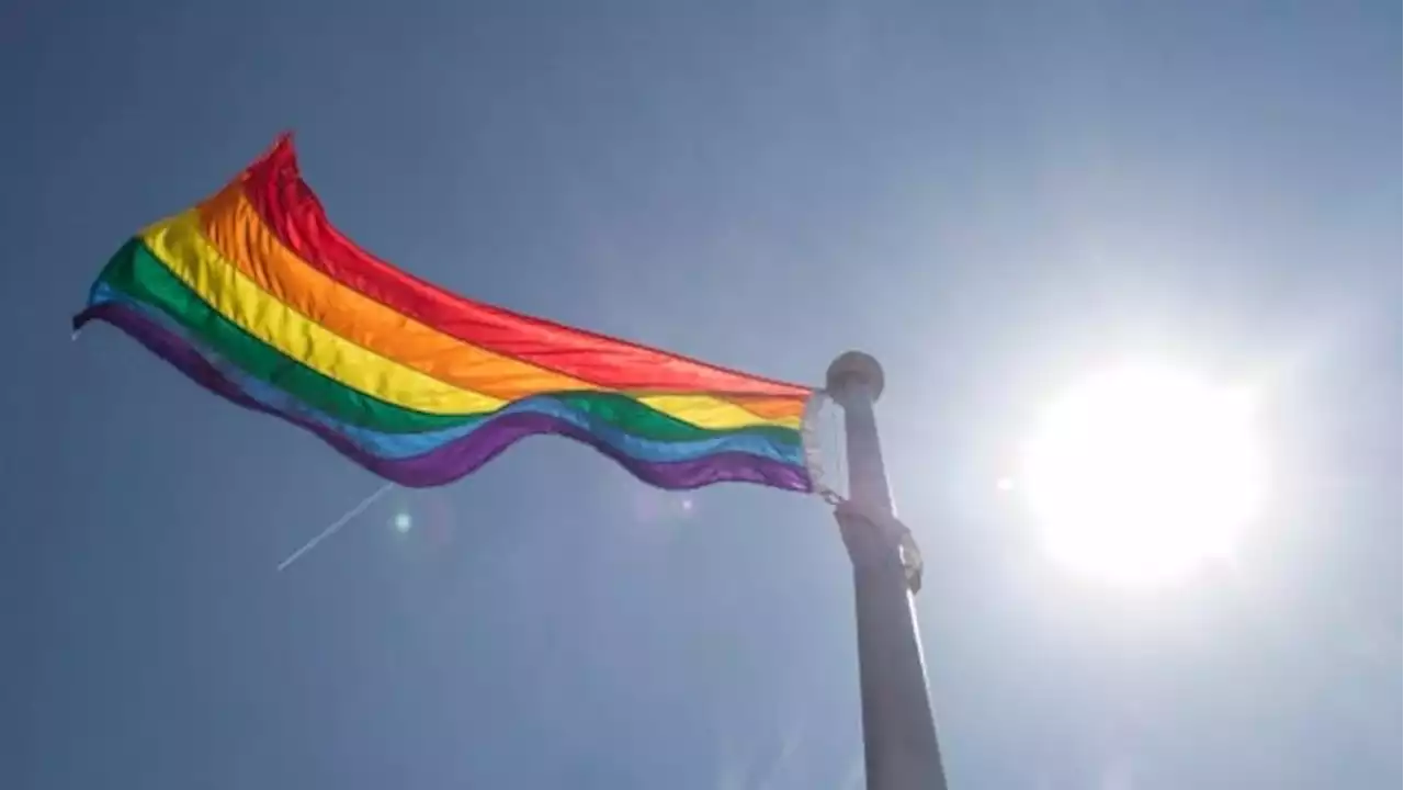 Petawawa to fly Pride flag after council overturns decades-old policy preventing it | CBC News