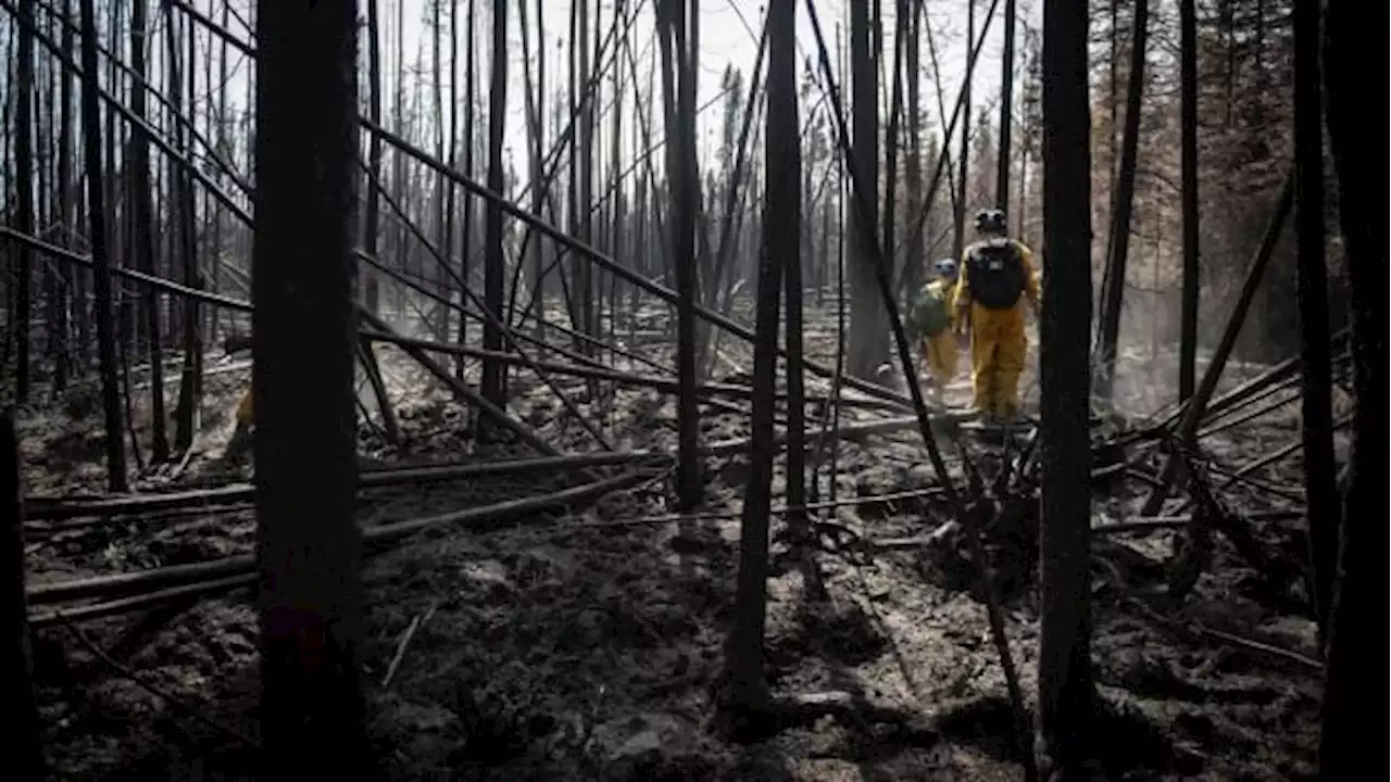 Shifting winds threaten to fan the flames of Alberta wildfires | CBC News